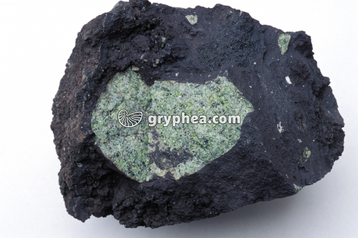 Nodule péridotite dans basalte - gryphea.com
